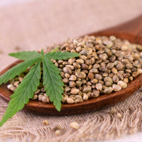 Hemp_Seed_Oil_2