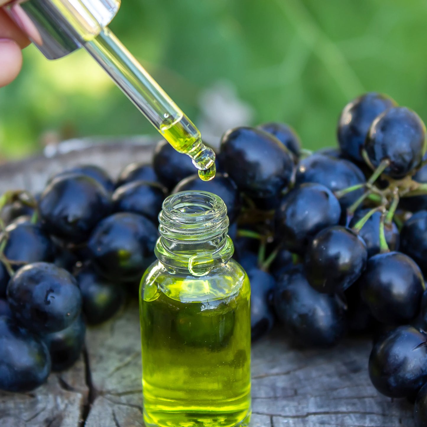 Grapeseed_Oil_2