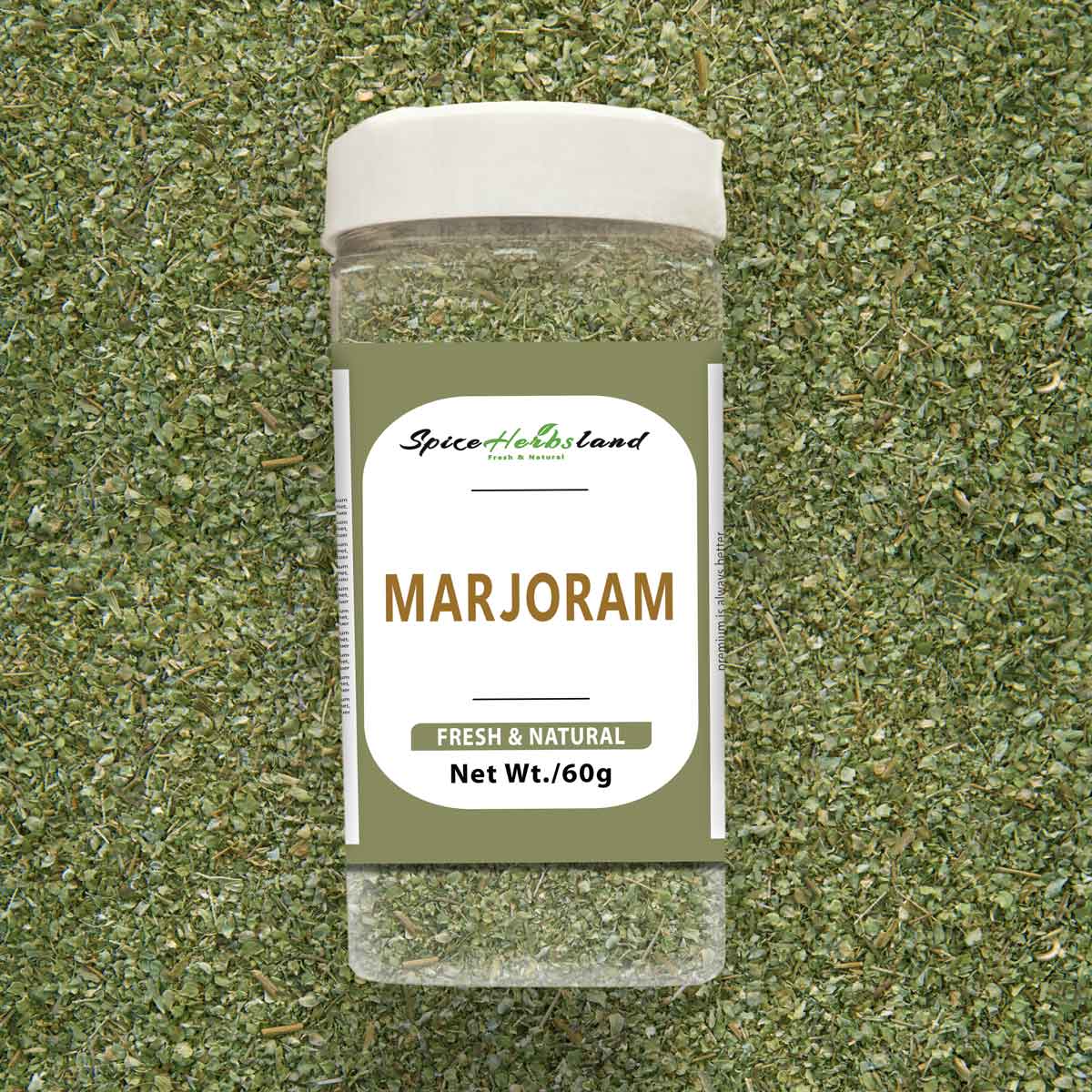 Marjoram_SH33_P
