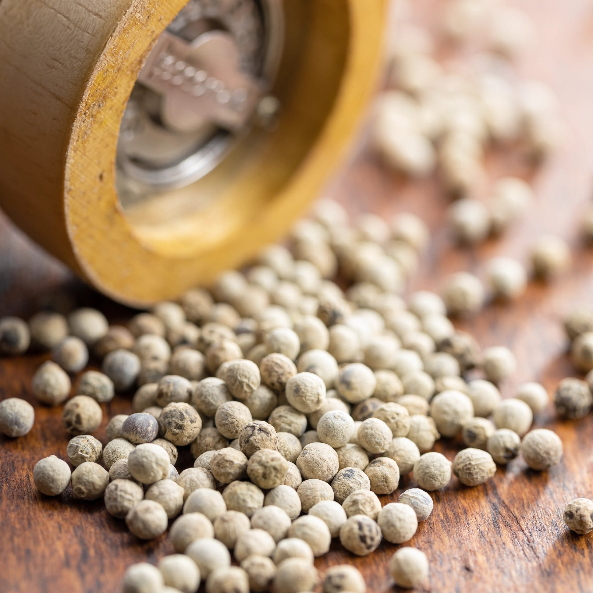 White_pepper_whole_2