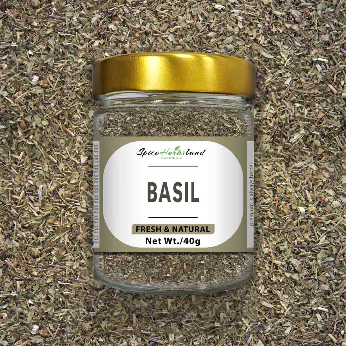Basil-_SH30